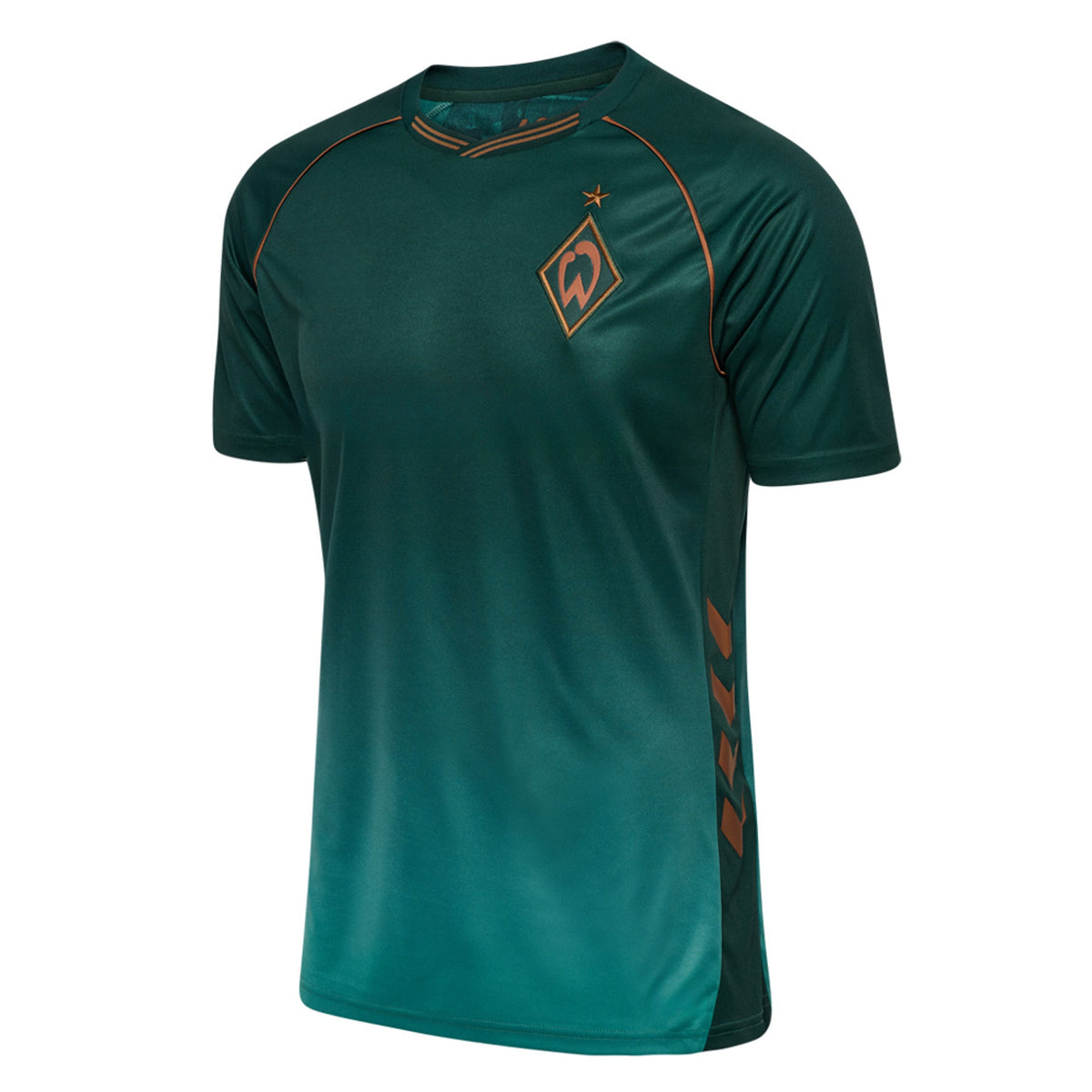 Jersey Werder Bremen 25/26 Third