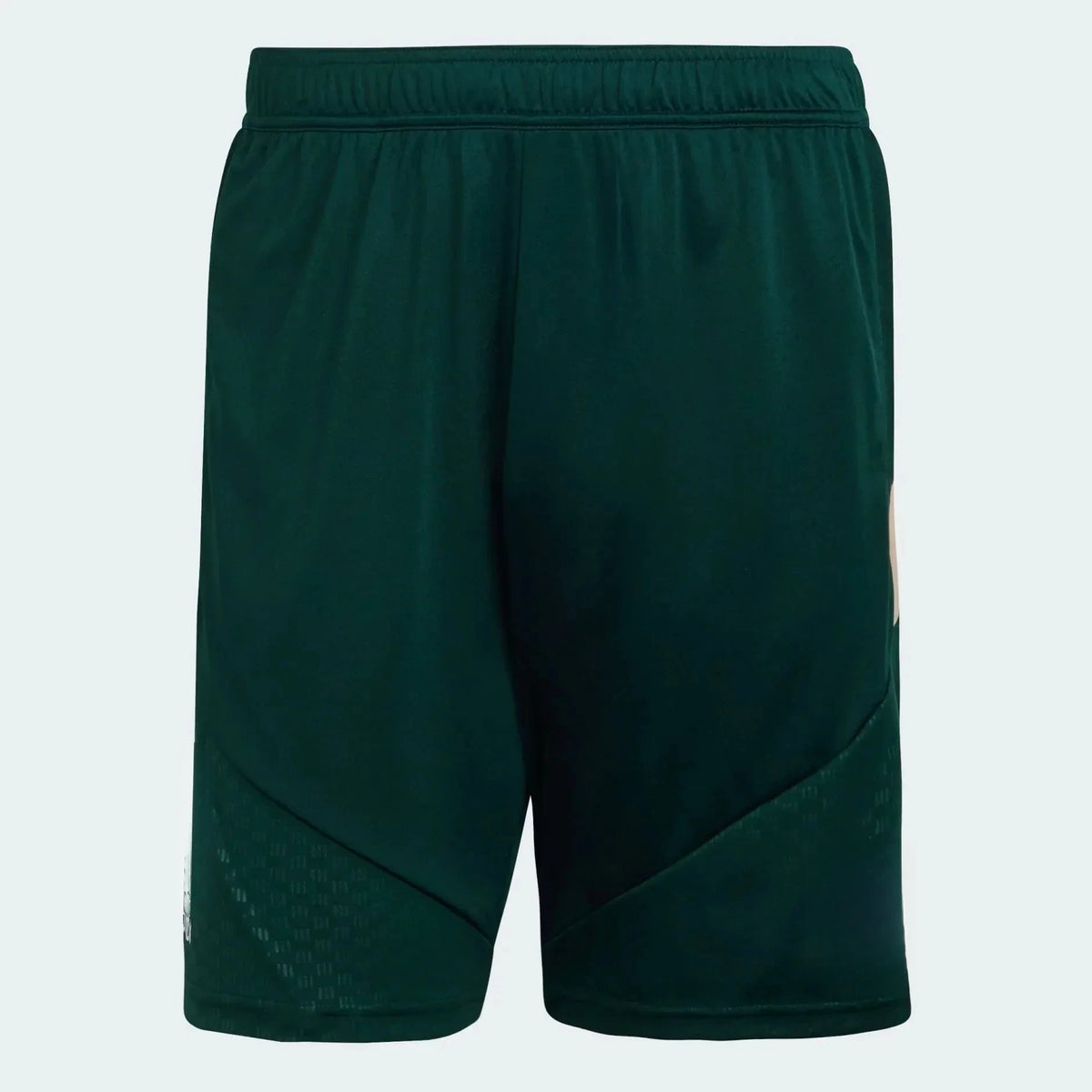 Shorts Saudi Arabia 2026 Training WorldCup
