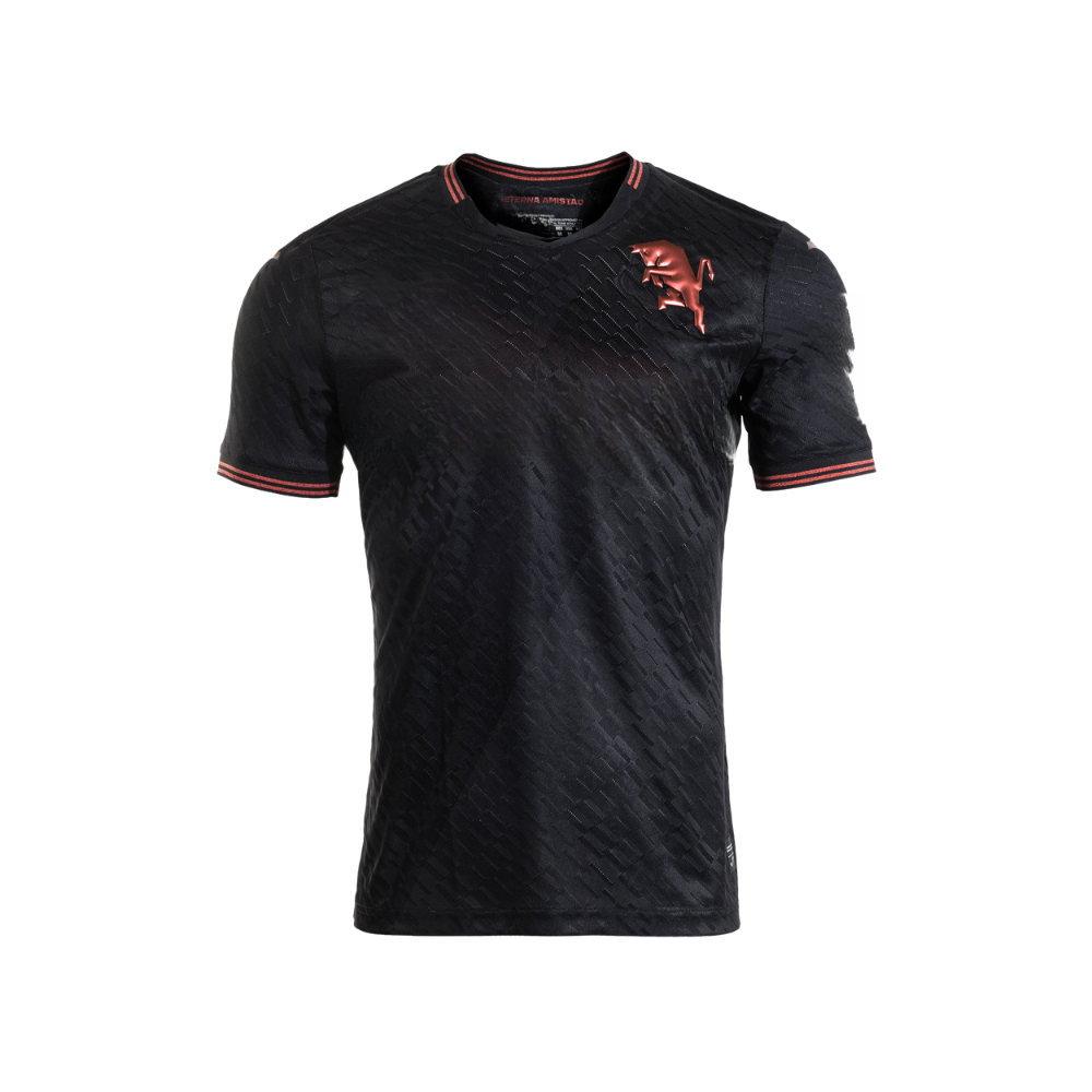 Jersey Torino Third 25/26