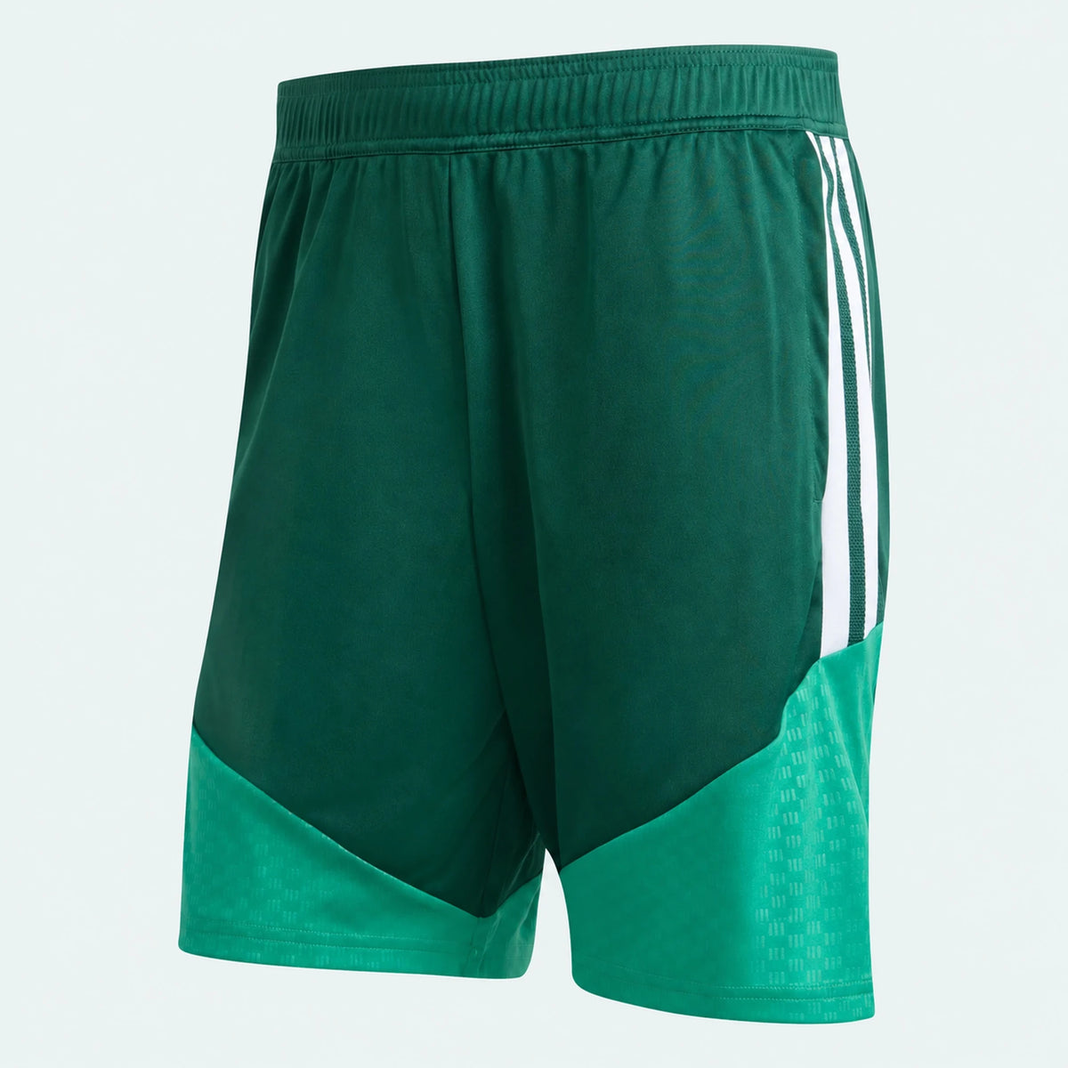 Shorts Algeria 2026 Home Training WorldCup